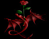 Dragon rose