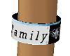 ice blue family armband