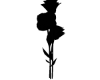 black flower naimated