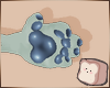 ⊹ Jay Hand Paws F