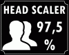 * Head Scaler 97.5%