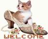 Cat say Welcome