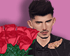 Bouquet Of Roses / AVI