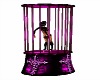 pink dance cage