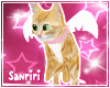 𝓢. Neko Angel🩷
