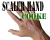 ✌ Hand Scaler 85%