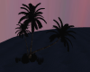 Nighttime Palm Trees