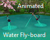 Animated flyboard game