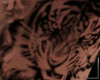Tiger+Dragon L Side Tat