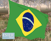 WINDY BRAZIL FLAG M/F