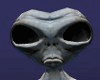 Alien Real Avi M/F