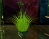 Fantastic Plant