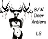 B/W Deer Antlers