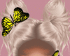 Butterfly Nordic Req