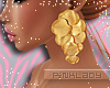 <P>Gold Plate Earrings