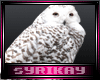 Snow Bunny~Owl