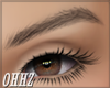 420| Feather Brow | 001