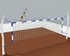 NS VolleyBall Animated