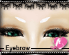 Zaki Eyebrows