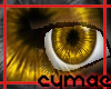 [Cy]Gold Eyes