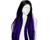 EquusCapilBB