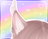 🌙 Wolf Fluff Bear