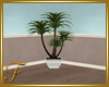 F:Summer Float HomePlant