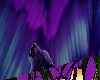 purple night wolf club