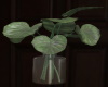 [CI]Intimate Plant 3