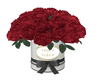 â¥ Venus La fleur WB