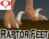 Raptor Feet -Female v1a
