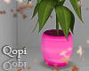 Deep Pink Vase Plant