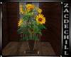 Potted SunFlower