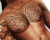 Tiddy Skin