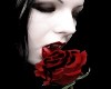 Bloody Vamp Rose