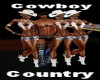 Cowboy Guy