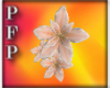 (ZT)Sea Side Flowers
