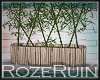 R| Zen Bamboo Plant1