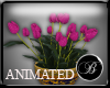 Funny Animated Floral