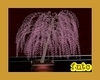 Animated Pink Willow