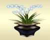 Kisari Flower Plant Pot