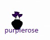 vase of purple roses