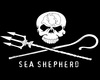 Sea Shepherd Scarf