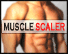 scaler muscle