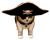 PHV Pirate Gold Pet Cat