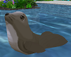 Seal Floatie 4 two