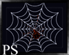 {PS} O.Spider Web