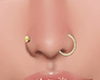 Nose Piercings - GOLD