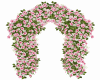 Roses Arche 3