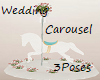 Wedding Carousel 3Poses